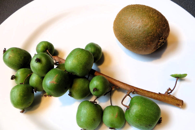 Kiwis et Kiwaïs