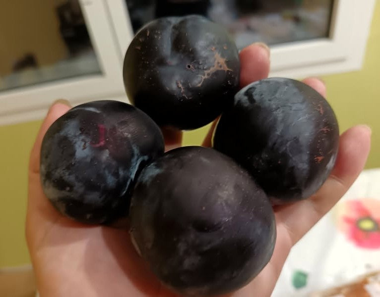 Prunier - Black amber