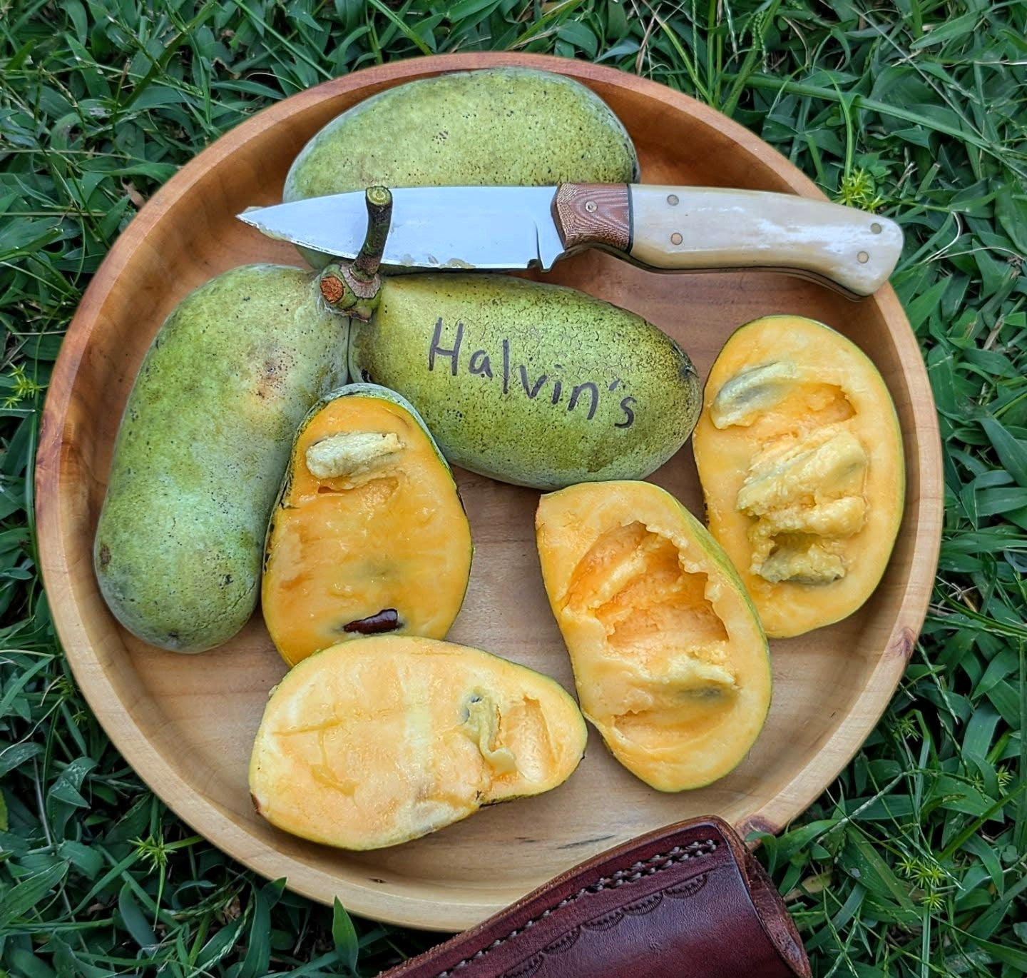 Asiminier - Halvin