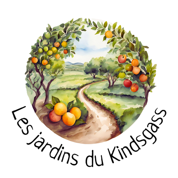 Les jardins du Kindsgass