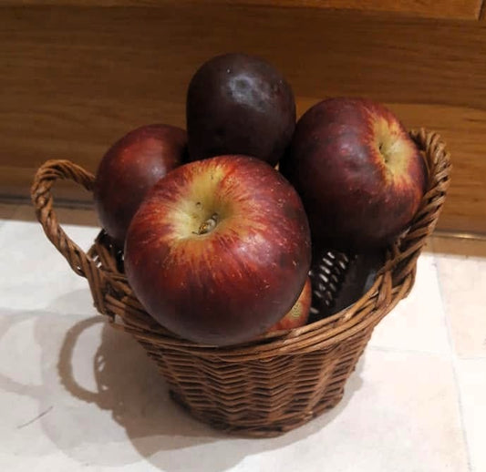 Pommier - Christkindler